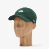 Everyday Cooper Beaver Cap