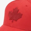 Modern Leaf Baseball Cap