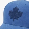 Modern Leaf Baseball Cap