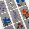 Roots Tea Towel Roots Tea Towel